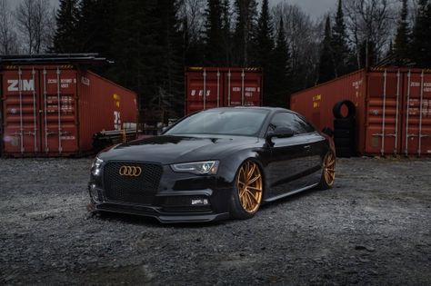 Melt Aesthetic, Audi S5 Coupe, Falken Tires, Audi A5 Coupe, A5 Coupe, New Luxury Cars, Audi Rs5, Luxury Car Rental, Audi S5