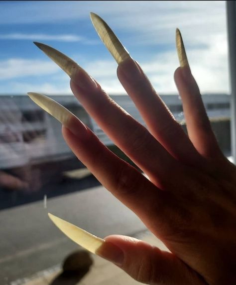 horror long natural nails Long Natural Looking Acrylic Nails, Long Natural Nails Aesthetic, Real Long Nails, Ugly Nails, Natural Looking Acrylic Nails, Nail Designs Bling, Scary Nails, Long Natural Nails, Long Fingernails