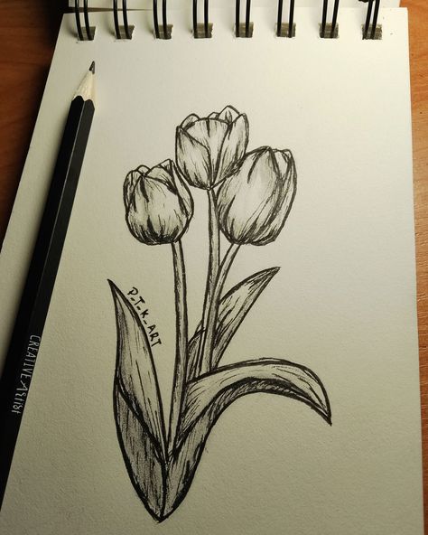 Pencil Flower Drawings Easy, Drawing Ideas Tulips, Tulip Pencil Drawing, Tulips Sketch Pencil, Tulip Sketch Simple, Fineliner Art Flowers, Drawing Tulips Flower, Flowers Tulips Drawing, Pen Sketches Ideas