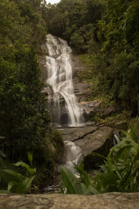 Rio de Janeiro, Brazil - January 20, 2019: Beautiful waterfall called "Cascatinha Taunay" on green nature in the Atlantic Rainforest, Tijuca Forest National Park | #1818 #alfredo #alto #boa #vista #america #background #beauty #brazil #bridge #cascade #cascatinha #city #editorial #environment #fall #felix #forest #french #mission #fresh #green #janeiro #job #alcântara #jungle #landmark #national #national #park #natural @RezendeLuan Park Editorial, City Editorial, Background Beauty, Beautiful Waterfalls, January 20, Green Nature, Fresh Green, The Atlantic, Rio De Janeiro