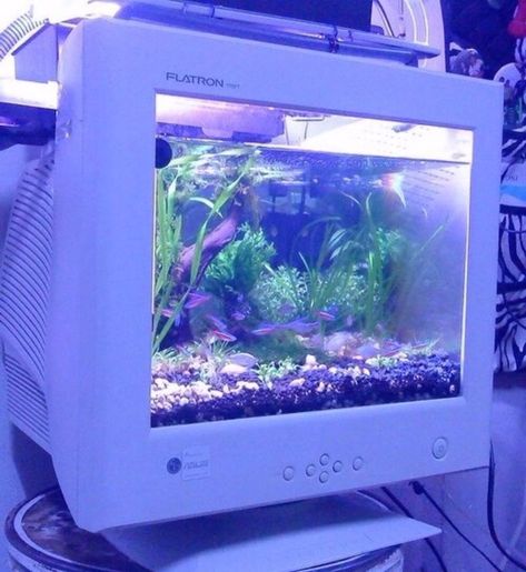 Vaporwave Fashion™ on Instagram: “AESTHETIC FISHTANK vaporwavefashion.com . . . . .  #vaporwave #vaporwaveart #vaporart #vaporwavefashion #vaporwaveaesthetic…” New Retro Wave, Vaporwave Aesthetic, Neon Aesthetic, Soft Grunge, Retro Futurism, Purple Aesthetic, Retro Aesthetic, Grunge Aesthetic, Blue Aesthetic