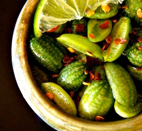 Mexican Sour Gherkin Recipe, Cucamelon Recipes, Marinated Watermelon, Watermelon Pizza Recipes, Mantu Recipe, Wassail Recipe, Ponzu Sauce, Portabella Mushroom, Watermelon Pizza