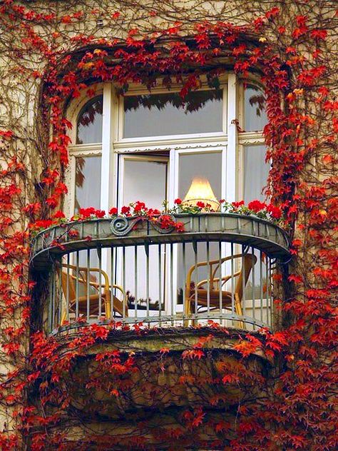 Ivy Balcony, Paris, France photo via sophy @csm79 @rjm1211 found our balcony in Paris! ;) Beautiful Windows, Have Inspiration, France Photos, Window Boxes, Oscar Wilde, Window Sill, The Window, Railing, My Dream Home