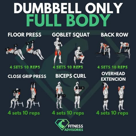 Fullbody Dumbbell Workout, Dumbbell Strength Training, Crossfit Workouts Wod, Full Body Strength Workout, Chest Workout For Men, Strength And Conditioning Workouts, Full Body Weight Workout, Workout Labs, Hiit Workout Routine