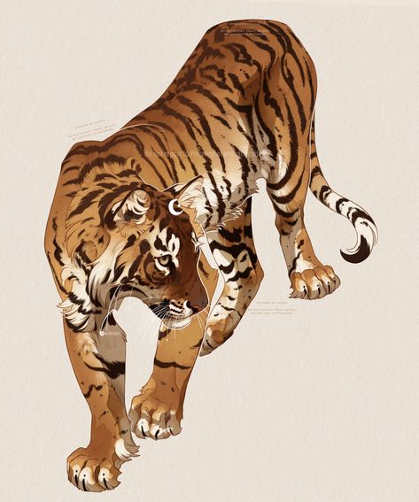 Tiger Cub, Tiger Art, Anatomy Reference, Pretty Art, Art Sketchbook, Overwatch, Animal Drawings, Animal Art, Fashion Art