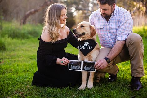 Pregnancy announcement with dog 🐕❤️ Pregnancy Announcement Photos With Dogs, Pregnancy Announcement With Dog, Spring Pregnancy Announcement, Dog Pregnancy, Pregnancy Announcement Pictures, Announcement Pictures, Dog Baby Announcement, Dog Pregnancy Announcement, Fall Pregnancy Announcement