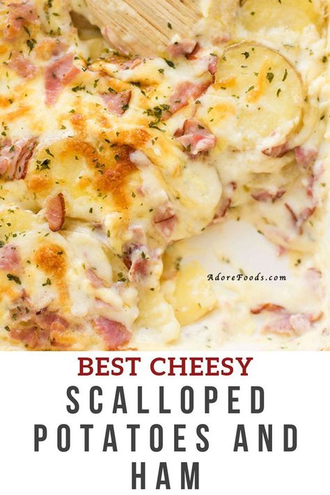 Easy Scalloped Potatoes And Ham, Best Cheesy Scalloped Potatoes, Scalloped Potatoes And Ham Recipe, Easy Scalloped Potatoes Recipe, Potatoes And Ham, Ham Dishes, Scalloped Potatoes Easy, Cheesy Scalloped Potatoes, Scalloped Potatoes And Ham