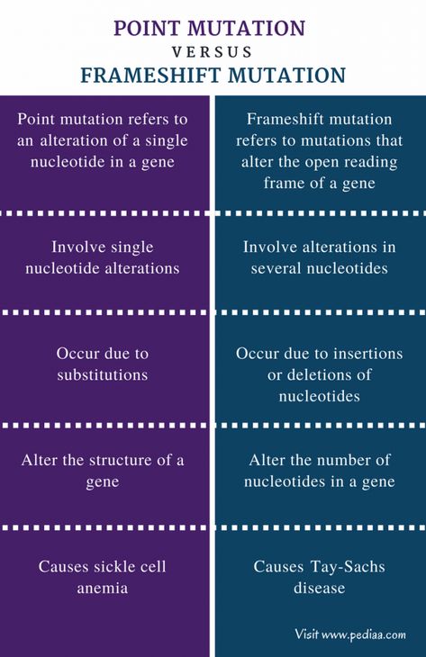 Point Mutation, Learn Biology, Nurse Study, Biology Humor, Writer Humor, Basic Anatomy And Physiology, Nurse Study Notes, Biology Lessons, Science Notes