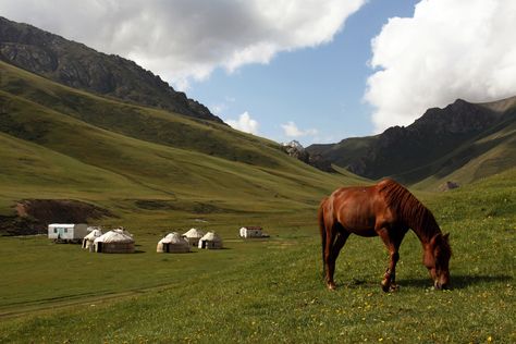 Tash Rabat, Central Asia, Horses, Pool, Natural Landmarks, Water, Animals, Travel, Color