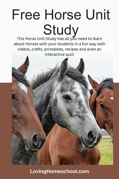 This Horse Unit Study has all you need to learn about Horses with your students in a fun way with videos, crafts, printables, recipes and even an interactive quiz! Horse Lessons, Scramble Words, Homeschool Projects, Memory Match Game, Free Horses, Unit Studies, Most Beautiful Horses, Science Units, Animal Groups