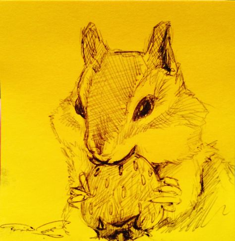 Pen doodling of chipmunk eating strawberry. Chipmunk Doodle, Chipmunk Sketch, Chipmunk Drawing, Strawberry Sketch, Chipmunk Art, Eating Strawberry, Eastern Chipmunk, Land Creatures, Diy Paintings