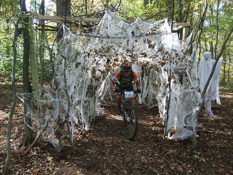 Spider Web Tunnel on Hoyles Mill Trail | mcfeelion | Flickr Halloween Tunnel Ideas, Haunted Trail Ideas Scary, Creepy Halloween Diy, Halloween Tunnel, Haunted Trail Ideas, Wood Spider, Haunted Halloween Party, Trail Ideas, Haunted Trail