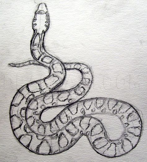 Snake Sketch, Snake Painting, Snake Drawing, Draw Realistic, Snake Head, Snake Art, Drawing Step, Tree Drawing, Guided Drawing