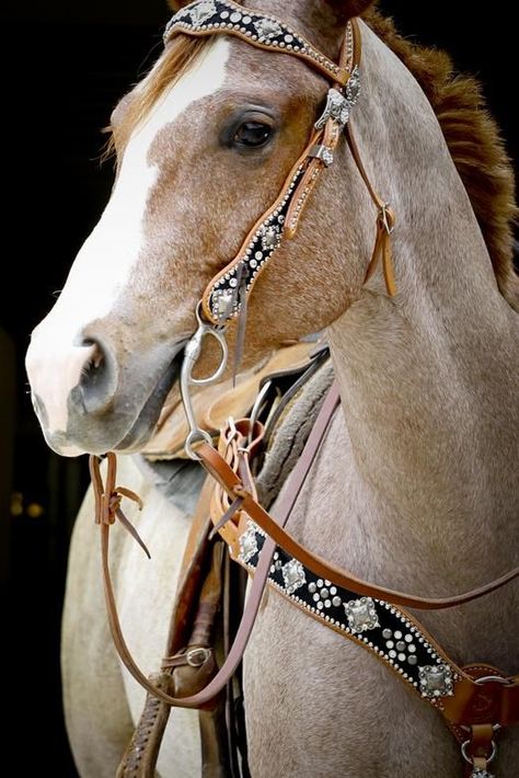 cant get any more country than this Paint Horse, Western Riding, Majestic Horse, All The Pretty Horses, Bridles, Horse Crazy, Western Horse, Horse Life, Appaloosa