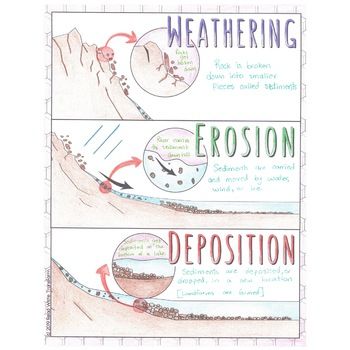 Doodle to Learn: Weathering, Erosion, & Deposition by Read Write Transform Weathering Erosion Deposition Anchor Chart, Weathering Erosion Deposition Anchor, Weathering Erosion Deposition, Sixth Grade Science, Weathering And Erosion, Science Anchor Charts, Class Displays, 7th Grade Science, 8th Grade Science