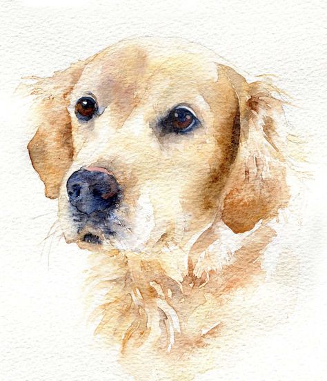 Crown Painting, Dog Watercolor Painting, Watercolor Dog Portrait, 강아지 그림, Watercolor Pet Portraits, Watercolour Inspiration, 수채화 그림, Watercolor Paintings Tutorials, Watercolor Dog