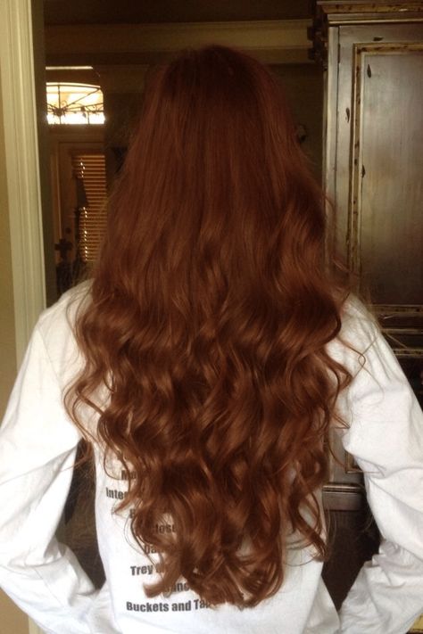 Long Brown Curly Hair, Cinnamon Hair, Reddish Brown Hair, Alicent Hightower, Brown Curly Hair, Velvet Hair, Auburn Hair, Long Wavy Hair, Dye My Hair