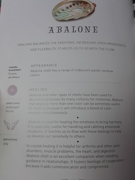 Abalone Shell Meaning, Shell Meaning, Virgo Things, Types Of Shells, Abalone Shell, Pastel Rainbow, Other Colors, Meant To Be, Crystals