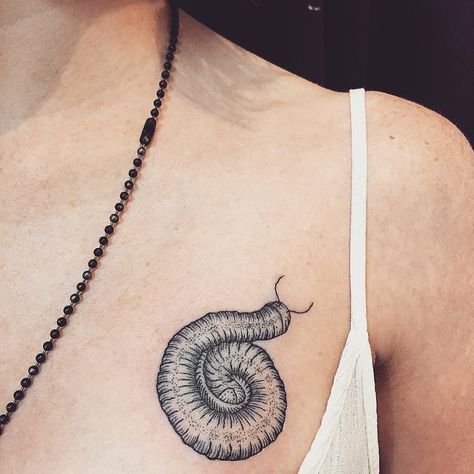 Little millipede I did today   #tattoos#millipede#millipedetattoo#dotworktattoo#blackworktattoos#blackworkers#insecttattoo by molotovsubtle Emily Tattoo, Gothic Tattoos, Funky Tattoos, Bug Tattoo, C Tattoo, Intricate Tattoo, Gothic Tattoo, Classy Tattoos, Leg Tattoo