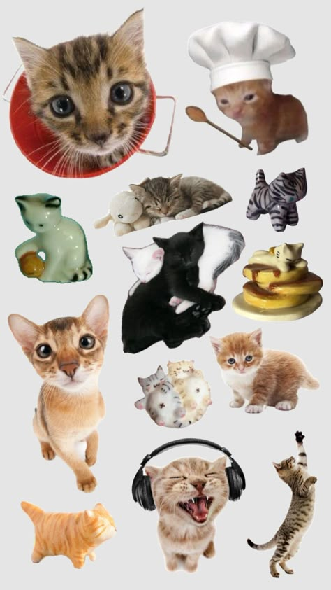 #cats #kitties Cat Stickers Printable, Cats Collage, Collage Cat, Cats Stickers, Cat Magazine, Cat Collage, Cat Prints, Cat Png, Scrapbook Stickers Printable