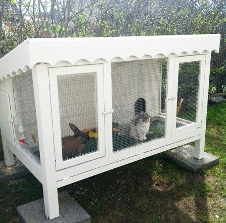 rabbit cage, rabbit cages, rabbits, rabbit pet, rabbits pets, rabbits cage, rabbit caged, rabbit cages outdoor, rabbit cages indoor, diy cage, cage setup, cage design, large cage, wire cage, cage ideas, rabbit cage making, big cage, small cage, mat cage, cage stand, cage house Simple Rabbit Hutch, Outside Bunny Enclosure, Bunny Hutch Diy Outdoor, Bunny Cages Outdoor, Diy Rabbit Hutch Outdoor, Large Rabbit Hutch Outdoor, Baby Rabbits Cute, Rabbit House Outdoor, Rabbit Cage Setup