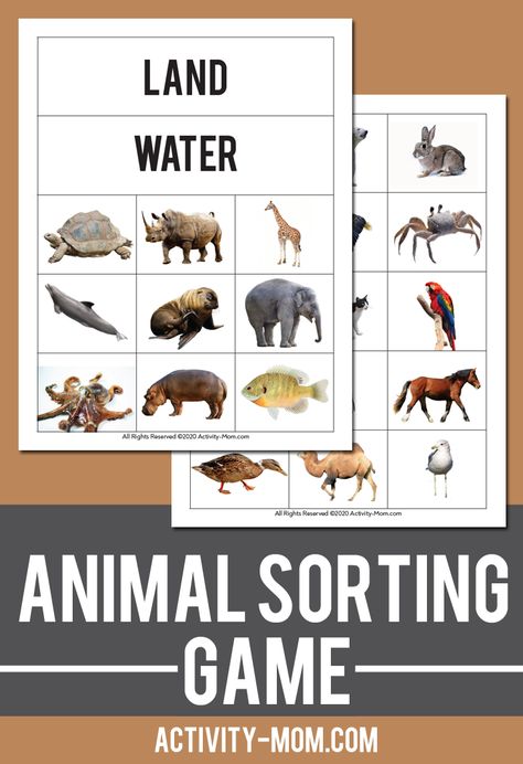 Animal Sorting Printables for Kids FREE Sort land animals and water animals. Increase vocabulary and brain connections with this sorting activity.   #animals #kids #sorting #freeprintable Animal Habitat Sorting Free Printable, Land Water Air Animals Worksheet, Animal Sorting Free Printable, Animal Kingdom Activities For Kids, Land Animals Preschool Activities, Animals Printables For Kids, Animal Printables For Kids, Free Animal Printables, Animal Sorting