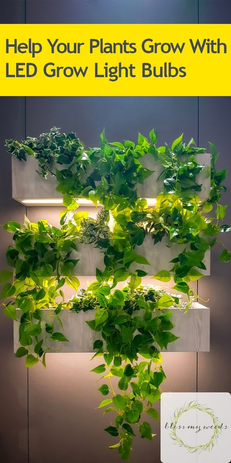 Grow Lights Diy, Light Bulb Plant, Indoor Plant Lights, Indoor Grow Lights, Growing Bulbs, Vertical Garden Indoor, Grow Light Bulbs, Grow Lights For Plants, Plants Growing