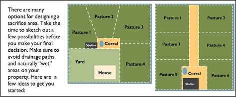 Horses are selective grazers which can be tough on pastures and often leads to overgrazing. There are many different grazing strategies tha... Horse Farm Layout, Rotational Grazing, Soil And Water Conservation, Barn Hacks, Dream Horse Barns, Homestead Farm, Farm Layout, Goat Farm, Future Farms