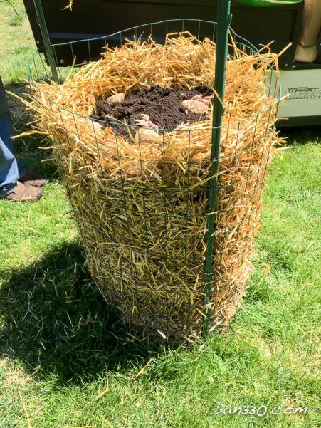 Straw Bale Gardening Layout, Potato Towers, Strawbale Gardening, Potato Planting, Potato Tower, Potato Gardening, Vegetable Garden Planner, Planting Potatoes, Vegetable Garden Planning