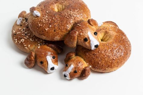 Homemade Bagels Shaped like Beagles - SugarYums Bagel Breakfast Sandwich, Black Food Coloring, Bagel Sandwich, Bread Art, Homemade Bagels, Types Of Flour, Black Food, Bread Roll, Easy Bread