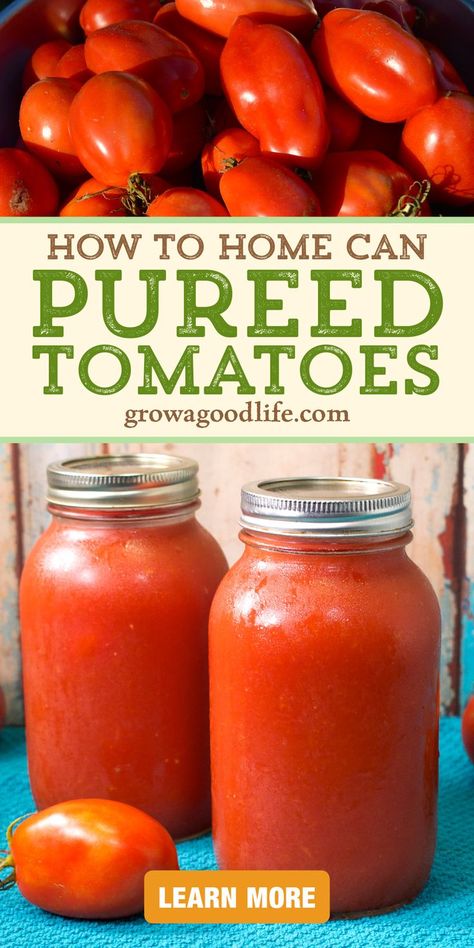 How To Puree Tomatoes, Canning Tomato Puree, Canned Tomato Puree Recipes, Tomato Puree From Fresh Tomatoes, No Peel Tomato Sauce For Canning, Pureed Tomato Recipes, Canning Tomato Sauce Water Bath, How To Make Tomato Puree, Ripe Tomato Recipes