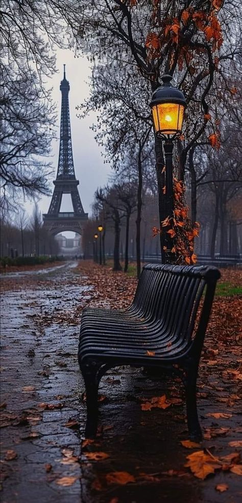 Autumn In Paris Wallpaper, Paris Wallpaper, Thanksgiving Greetings, Autumn Scenes, Autumn Scenery, Beautiful Locations Nature, Paris Eiffel Tower, Fall Pictures, Favorite Season