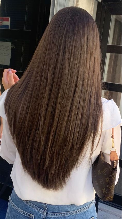 Haircuts Back View Long, Haircut For Smoothing Hair, V Haircut With Long Layers, Haircuts For Long Brown Hair Straight, Haircut Styles For Long Hair Length, Long Brown Haircut Straight, Long V Hair, Hair Cuts Long Layers Straight, Strait Layered Hair