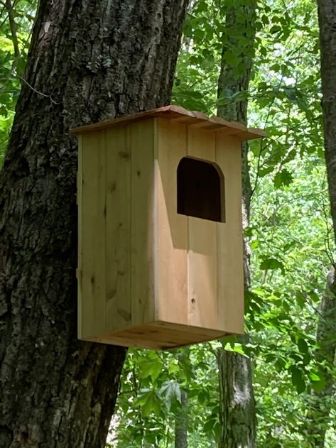 Owl Box Plans How To Build, Owl Boxes Plans How To Build, Owl House Plans How To Build, Diy Owl House Nesting Boxes, Owl Houses Diy How To Build, Owl Box Diy, Owl Box Plans, Owl House Plans, Owl Boxes