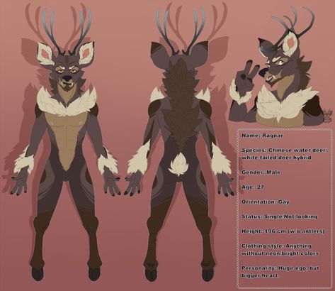 Ragnar the deer reference sheet by xNIR0x on DeviantArt Deer Template, Deer Reference, Water Deer, Male Deer, Draw Your Oc, Httyd Art, Reference Sheet, Art Reference Photos, Designs To Draw