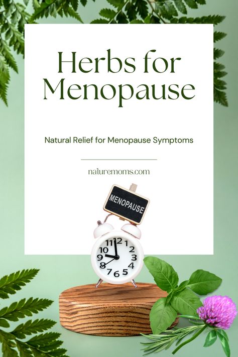 herbal blends for menopause, herbal formulations for menopause., herbal remedies for hot flashes, herbal remedies for menopause, herbal remedies for mood swings, herbal remedies for sleep disturbances, herbal support for menopause, herbal uses, herbs for menopause, holistic menopause relief, hormonal balance, menopause herbal remedies, menopause herbal supplements, menopause issues, menopause management, menopause relief, menopause symptoms, natural alternatives for menopause Natural Remedies For Menopausal Symptoms, Remedies For Hot Flashes, Herbal Business, Natural Alternatives, Health Class, Hormonal Balance, Sleep Remedies, Herbs For Health, Alcohol Drinks