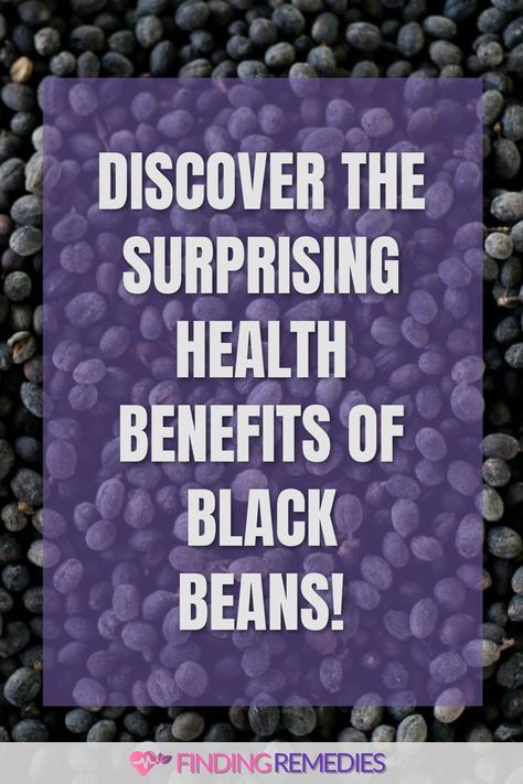 Discover the Surprising Health Benefits of Black Beans! Black Beans Benefits Health, Black Cohosh Benefits Woman, Health Benefits Of Black Beans, Black Beans Benefits, Benefits Of Being Vegetarian, Beans Benefits, Black Turtle Beans, Wellness Nutrition, Fruit Health Benefits