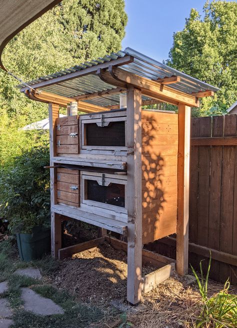 Quail Coop From Dresser, Diy Outdoor Quail Coop, Quail Cage With Egg Roll Out, Bobwhite Quail Coop, Quail Pen Plans, Pallet Quail Coop, Small Quail Coop, Diy Quail Aviary, Outdoor Quail Enclosure