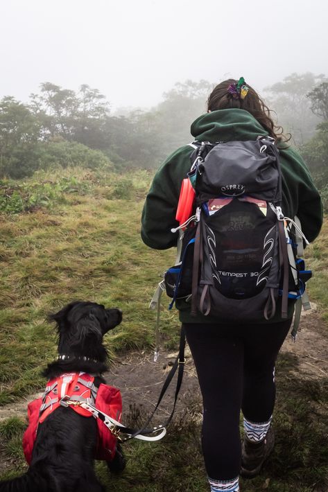 Backpacking With A Dog, Travelling With Dog, Dog Hiking Essentials, Backpacking With Dogs, Traveling With Dog, Best Hiking Backpacks For Women, Hiking With Dog, Hiking Backpack Women, Dogs Camping