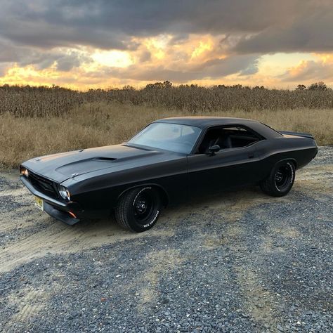 Black Dodge Challenger, 1973 Dodge Challenger, 240z Datsun, Old Muscle Cars, Dodge Muscle Cars, Fancy Cars, Classy Cars, Pretty Cars, American Muscle Cars