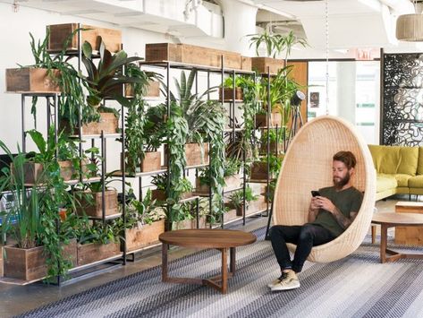 Everything You Need to Know About Biophilic Design in 5 Minutes Plant Installation, Cool Office Space, Green Office, Office Space Design, Biophilic Design, Office Plants, Cool Office, Green Interiors, Garden Office