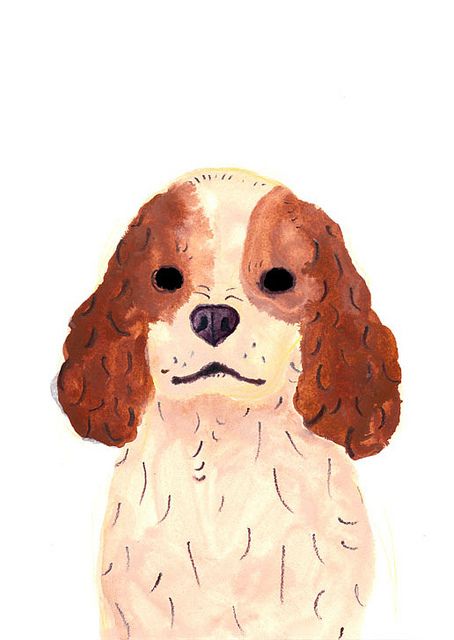 King Charles Illustration, Cavalier King Charles Spaniel Drawing, Spaniel Art, Animal Art Projects, Pet Portrait Painting, 강아지 그림, Dog Crafts, Cute Paintings, Doodle Illustration