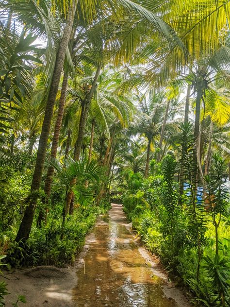 Yab Yum Resort in Goa is one of Goa's finest eco resort. Sustainable practice is the value pf Yab Yum which is also th ebest beach hut at Ashwem Beach, Goa. Coconut Leaves, Eco Resort, Kiss Day, Arabian Sea, Coconut Grove, Close Proximity, Sustainable Practices, Beach Hut, Solo Female Travel