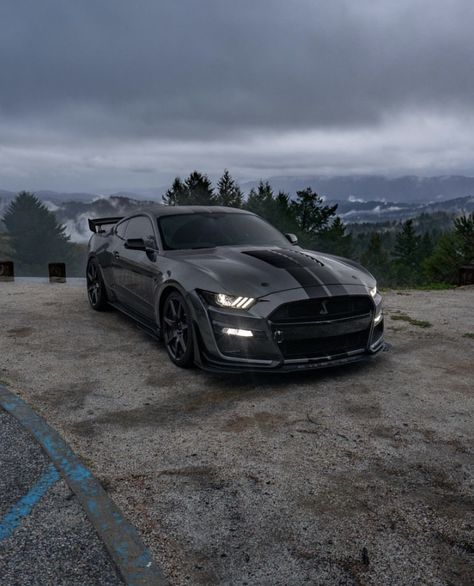 Mustangs Shelby Gt 500, Shelby Wallpaper, Best Friend Sketches, V8 Cars, Ford Mustang 2015, Car Obsession, Ford Mustang Shelby Gt, Mustang Wallpaper, Cars Drawing