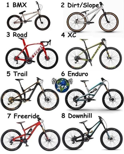 What's your ride Best Bmx, Stunt Bike, Mountain Bike Frames, Bicycle Mountain Bike, Bicycle Types, Downhill Bike, Cruiser Bicycle, Mountain Bike Shoes, Mtb Bike Mountain