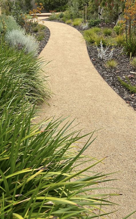 Path In Garden, Walkways Paths, Bike Path, Backyards, Garden Paths, Walkway, Back Gardens