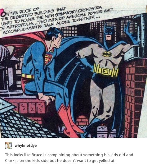 Superman X Batman, I Am Batman, Batman Funny, Online Comics, Batman Universe, Im Batman, Dc Memes, Batman And Robin, Dc Movies