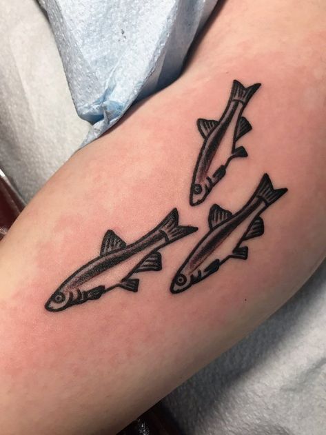 Minnow Tattoo, Stick N Poke Tattoos, Tattoo Wolf, Sea Wolf, Sea Tattoo, Stick N Poke, Stick N Poke Tattoo, R Tattoo, Poke Tattoo