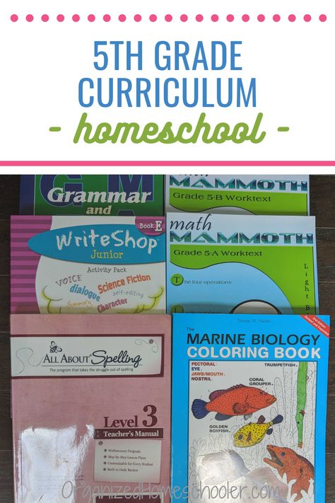 These 5th grade curriculum ideas are a great fit for an eclectic homeschool. They cover all of the core topics - science, math, language arts, history, and geography using hands-on activities, curricula, and books. Plan a great fifth grade homeschool year with these resources. Fifth Grade Homeschool, 5th Grade Homeschool Curriculum, 5th Grade Curriculum, 5th Grade Homeschool, Solsbury Hill, Eclectic Homeschooling, Math Language, Curriculum Planner, All About Spelling