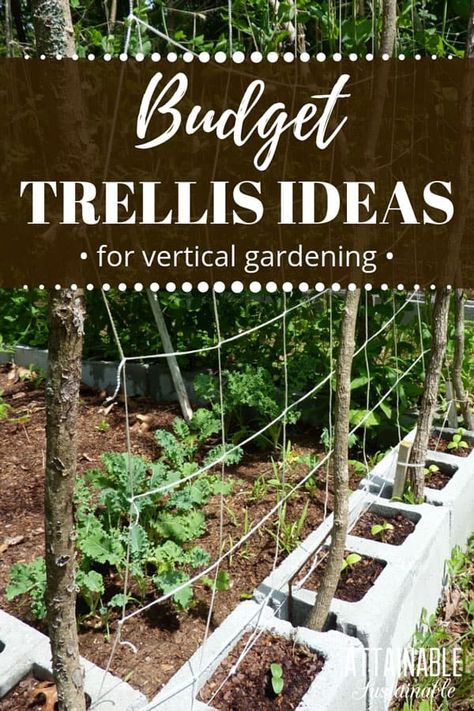 Growing vertically is a great way to make the most of a small garden space. Learn to build an inexpensive garden trellis from materials you might already have on hand. Training peas and beans on a homemade garden trellis will give you more space in limited garden beds by growing them vertically. #garden #verticalgarden #smallgarden Gemüseanbau In Kübeln, Homemade Garden, Vertical Vegetable Gardens, Diy Garden Trellis, Trellis Ideas, Vertical Vegetable Garden, Diy Trellis, Vertical Gardening, Vertical Gardens